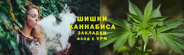 соль ск Сосновка