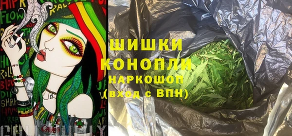 МДПВ Богородицк