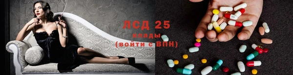 индика Богданович