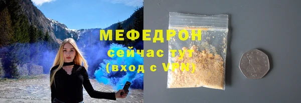 индика Богданович