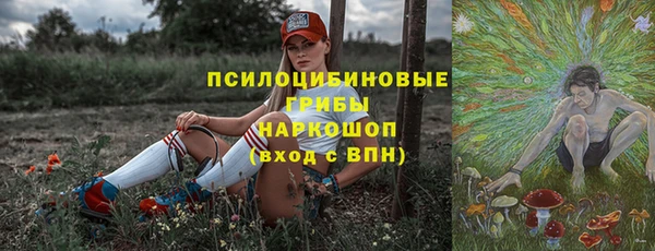индика Богданович