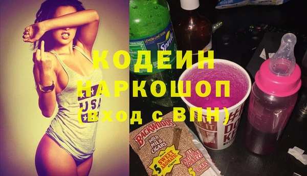 индика Богданович