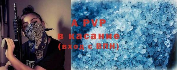 индика Богданович