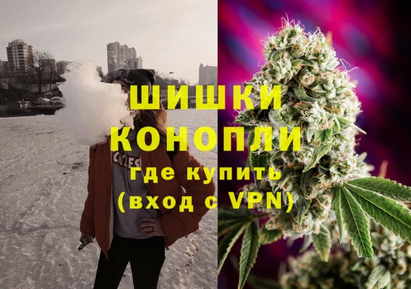 индика Богданович