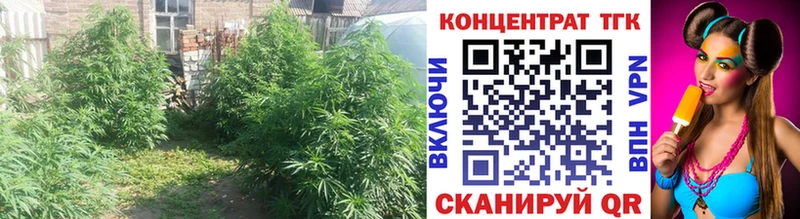 ТГК гашишное масло  omg зеркало  Миньяр  дарнет шоп 