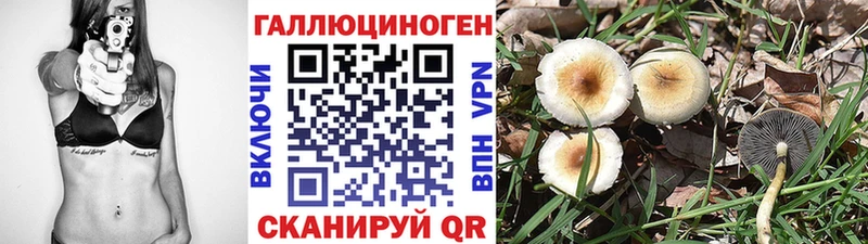 omg ТОР  Миньяр  Галлюциногенные грибы Psilocybe 