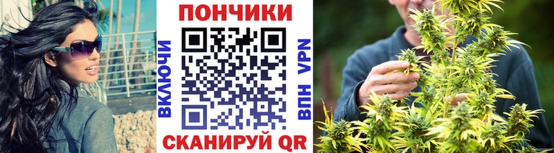 mega ТОР  Миньяр  Каннабис гибрид 